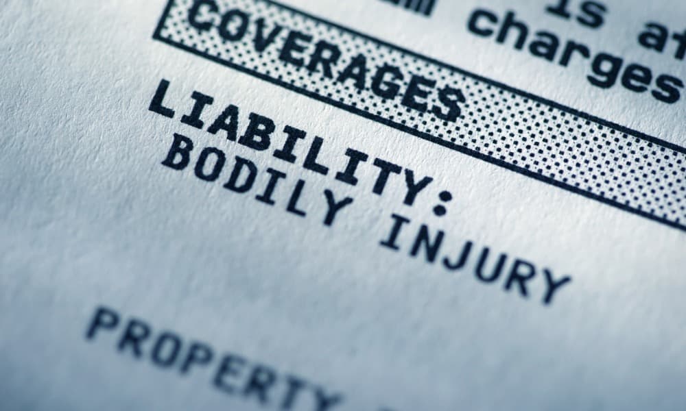 Text saying bodily injury, which general liability insurance covers, on an insurance form